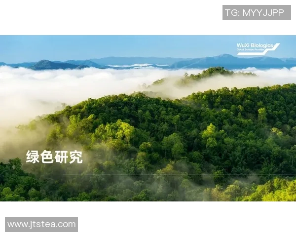 宁煤姚明引领煤炭行业新风潮助力绿色能源转型与可持续发展