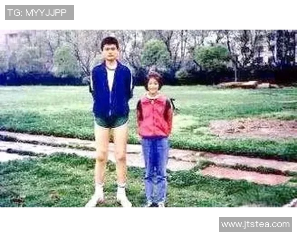 巨星之路姚明：从篮球新星到国际体育偶像的辉煌历程