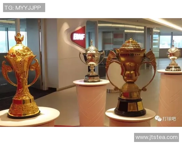 杭州羽毛球队状态分析与未来发展展望探讨